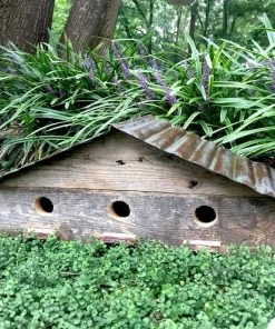 The Birdhouse Chick Vintage Birdie Lodge-3 Nest Birdhouse Unique Birdhouses