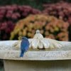 The Birdhouse Chick Bubbling Flower Birdbath Fountain