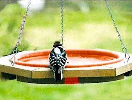 Looker Classic Hanging Wood Bird Bath 4 Looker Classic Hanging Wood Bird Bath