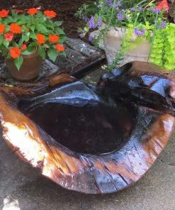 The Birdhouse Chick Natural Teak Ground Bird Bath Deck & Ground Bird Baths