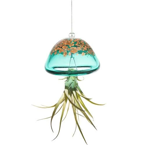 Kinsman Garden Company Jellyfish Air Plant Hangers Set/3 6 Kinsman Garden Company Jellyfish Air Plant Hangers Set/3