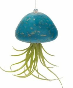 Kinsman Garden Company Jellyfish Air Plant Hangers Set/3 8 Kinsman Garden Company Jellyfish Air Plant Hangers Set/3