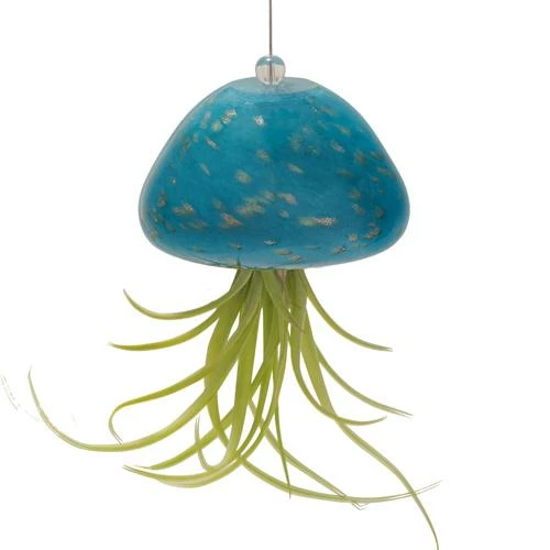 Kinsman Garden Company Jellyfish Air Plant Hangers Set/3 5 Kinsman Garden Company Jellyfish Air Plant Hangers Set/3
