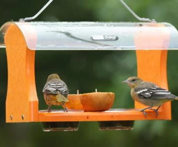 Birds Choice Recycled Birdhouses Recycled Fruit & Jelly Oriole Feeder 3 Birds Choice Recycled Birdhouses Recycled Fruit & Jelly Oriole Feeder