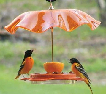 Birds Choice Acrylic Weather Guard-4 Colors 3 Birds Choice Acrylic Weather Guard-4 Colors
