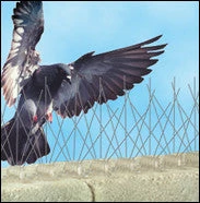 Bird B Gone, Inc. Pest Deterrents Bird-B-Gone Stainless Steel Bird Spikes 5 Bird B Gone, Inc. Pest Deterrents Bird-B-Gone Stainless Steel Bird Spikes