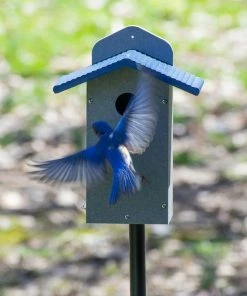 Birds Choice Recycled Bluebird House