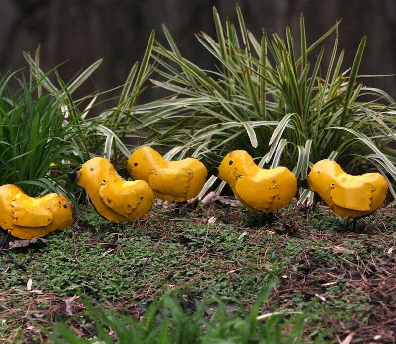 The Birdhouse Chick Statuary & Sculpture Baby Chicks Metal Yard Art Set/3 4 The Birdhouse Chick Statuary & Sculpture Baby Chicks Metal Yard Art Set/3