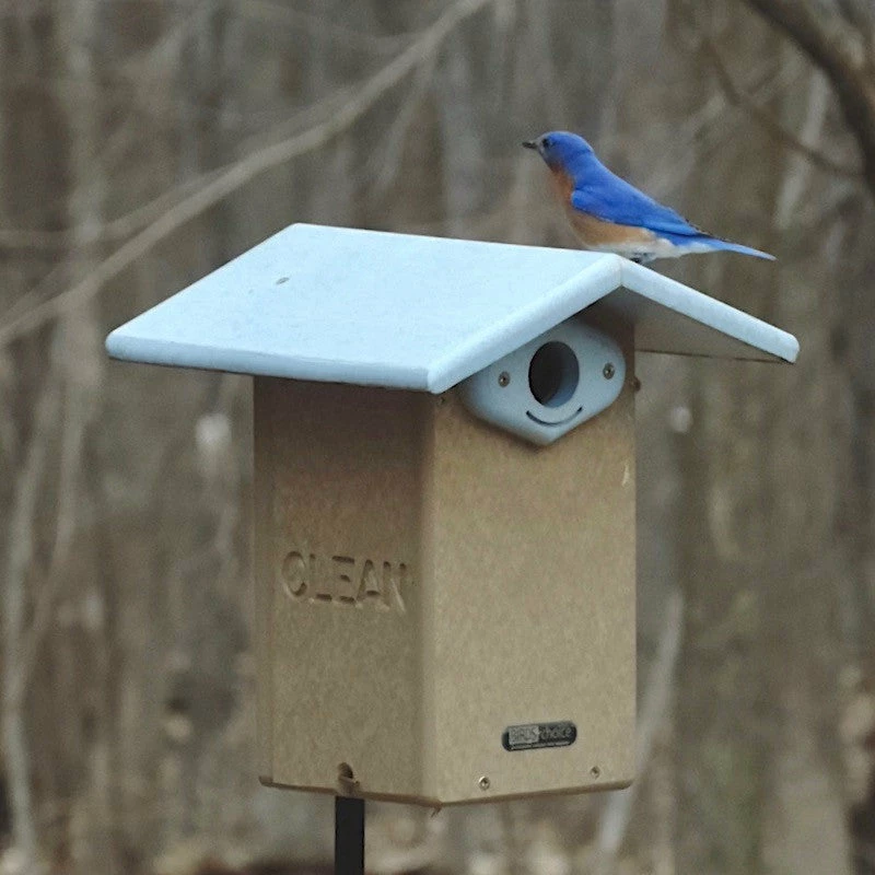 Birds Choice Bluebird Houses Deluxe Reycled Bluebird House-NABS Approved 4 Birds Choice Bluebird Houses Deluxe Reycled Bluebird House-NABS Approved