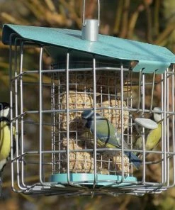 Suet Feeders Nuttery Caged Suet Feeder 5 Suet Feeders Nuttery Caged Suet Feeder