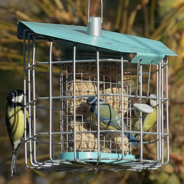 Suet Feeders Nuttery Caged Suet Feeder 4 Suet Feeders Nuttery Caged Suet Feeder