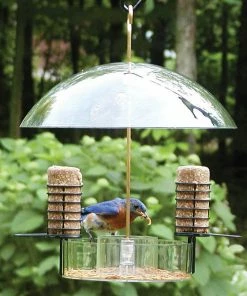 Birds Choice Super Dome Bird Feeder