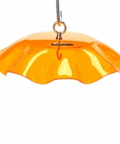 Birds Choice Acrylic Weather Guard-4 Colors 9 Birds Choice Acrylic Weather Guard-4 Colors