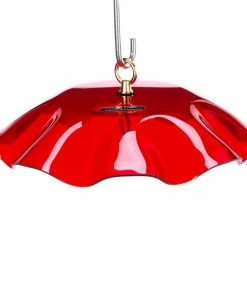 Birds Choice Acrylic Weather Guard-4 Colors 10 Birds Choice Acrylic Weather Guard-4 Colors