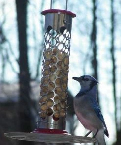 Pine Bush Home & Garden Stainless Steel Whole Peanut Feeder Peanut Feeders