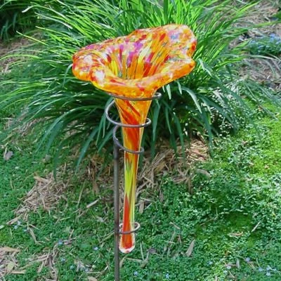 The Birdhouse Chick Tall Glass Butterfly Feeder & Bath 6 The Birdhouse Chick Tall Glass Butterfly Feeder & Bath