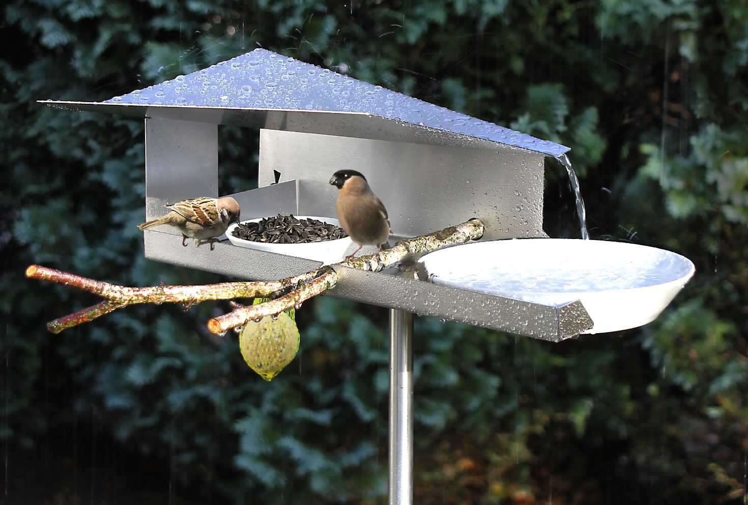 The Birdhouse Chick Sales Shop -The Birdhouse Chick Sales Shop bid feeder bird bath vht 11 rain 1